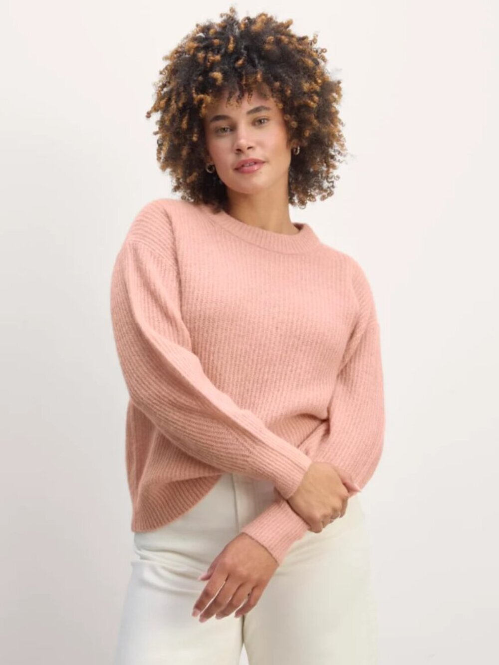 Everlane The Cocoon Crew in Alpaca